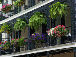 Decorative Iron Balcony